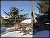 1801201217487.jpg