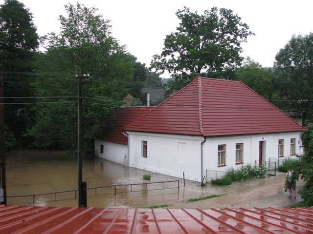IMG_1653.jpg