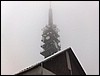 1901201217561.jpg